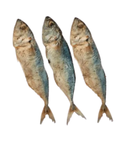 Goan Dry Mackerel Fish / Sukkhe Bangde